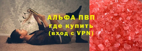 ECSTASY Алзамай