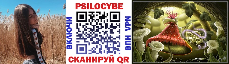 Галлюциногенные грибы прущие грибы  гидра зеркало  Пойковский 