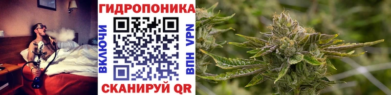 Марихуана семена  Пойковский 